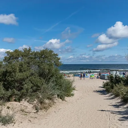 Seaside Wind - Gardenia Seaside